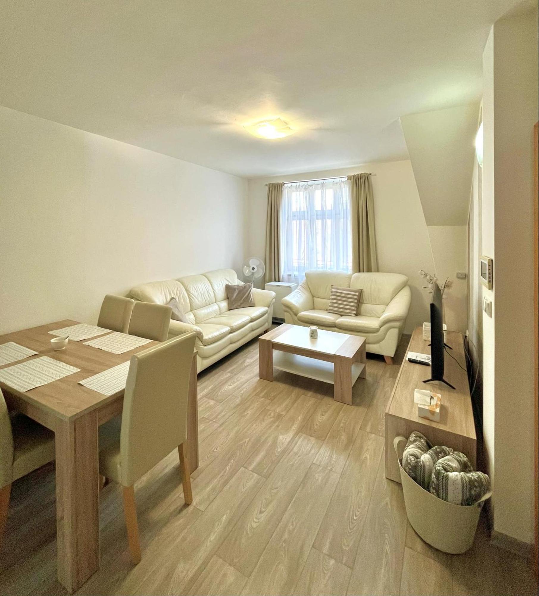 Pod Vezi Apartment *