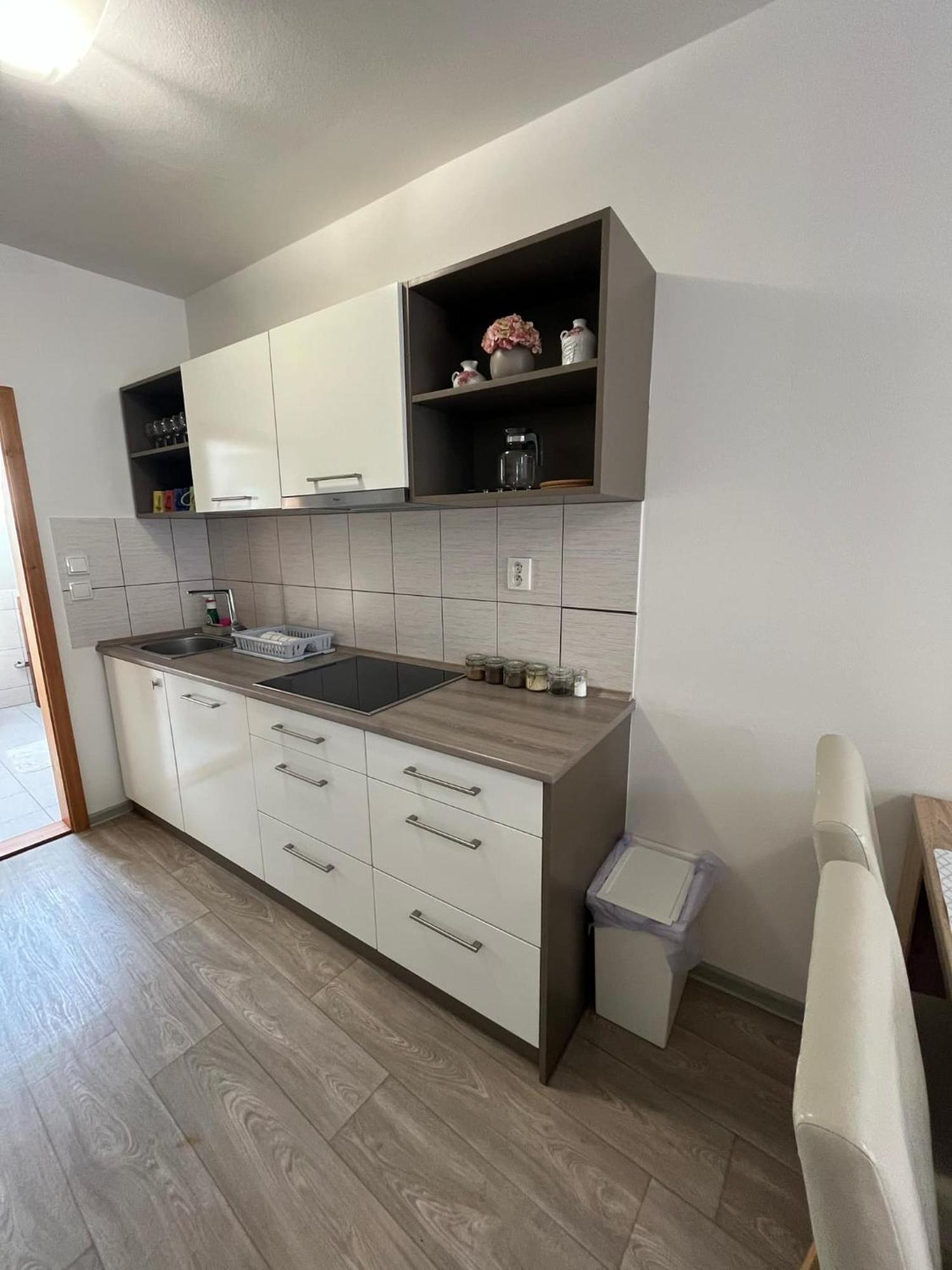 Pod Vezi Apartment
